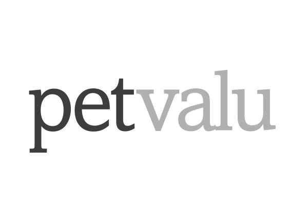 Logo Winston salem